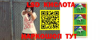 крисы Кунгур