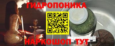 крисы Кунгур