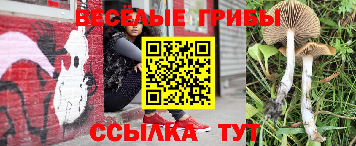 Галлюциногенные грибы мицелий  Вход с VPN  Карачаевск 