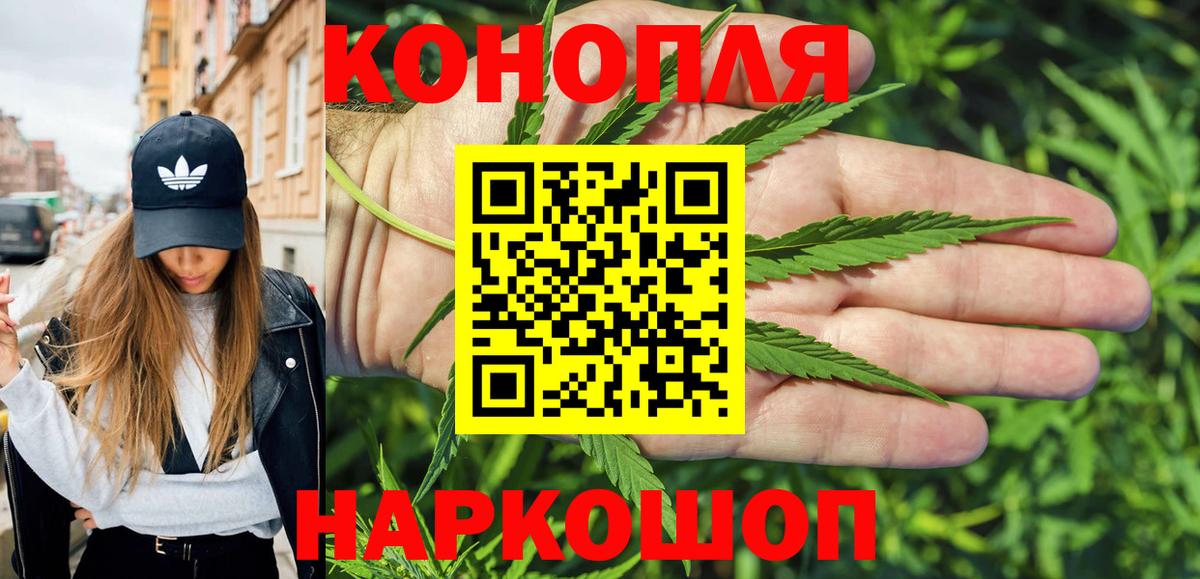 Шишки марихуана тримм  Канабис AK-47  Вход с VPN  Канабис планчик  Карачаевск 